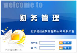 现代计算机软件产品库的构建与管理 从体系设计到实践应用